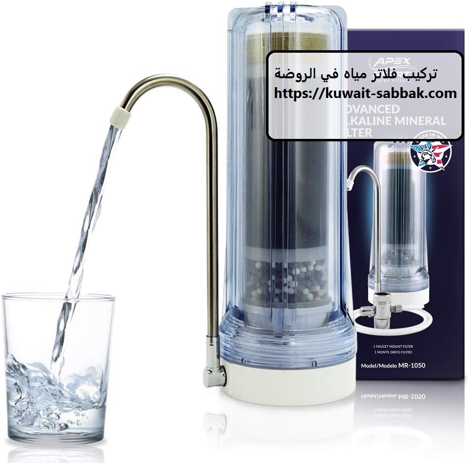 تركيب فلاتر مياه في الروضة