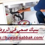 سباك صحي في الروضة