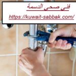 فني صحي الدسمة