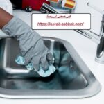 فني صحي الروضة