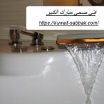 فني صحي مبارك الكبير